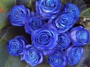 青いバラ入荷しました(*^。^*)|「蒲生のお花屋さん　とも」　（大阪府大阪市鶴見区の花屋）のブログ